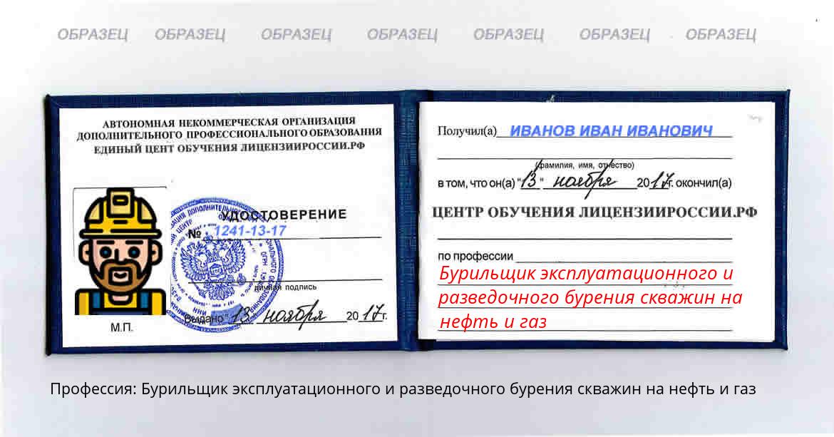 Бурильщик эксплуатационного и разведочного бурения скважин на нефть и газ Николаевск-на-Амуре